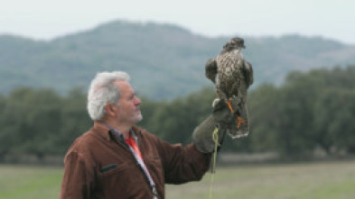Imagen de Ruralitas: Zabal (Navarra) y Villar del Buey (Zamora) - 5