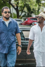Imagen de Infiltrados en Miami - 8