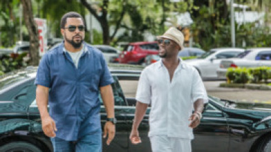 Imagen de Infiltrados en Miami - 9