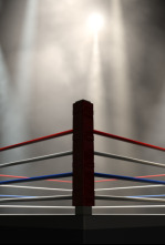 Imagen de Boxeo: velada... (2026): Joel Iriarte vs Rock Dodler Myrthil - 4