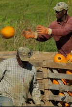 Imagen de Maine. América al natural - 4