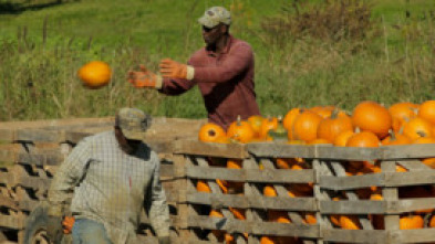 Imagen de Maine. América al natural - 5