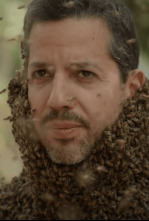 Imagen de David Blaine: Retos Extremos  - 6