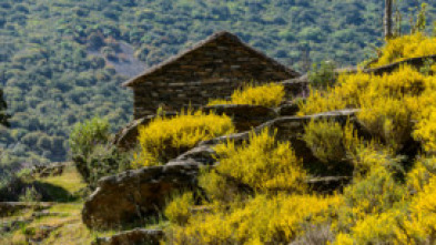 Imagen de Parque Nacional de Monfragüe - 5