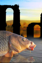 Imagen de Tras las carpas romanas - 4