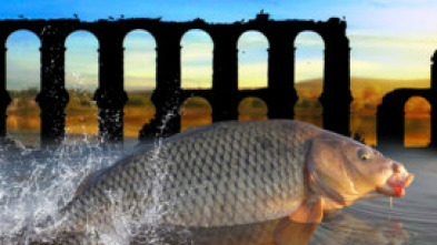 Imagen de Tras las carpas romanas - 5