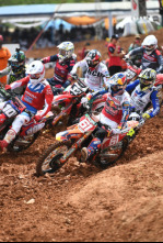 FIM SPG - Landshut (2025): Resumen