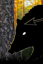 Imagen de Huétor Santillán recorrido con arco - 4