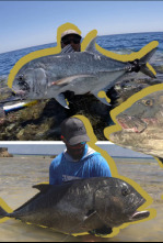 Imagen de Mar Rojo Expedition - 4