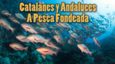Imagen de Catalanes y andaluces a pesca fondeada - 5