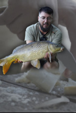 Imagen de Carpas a superficie con pan - 4
