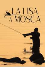 Imagen de La lisa a mosca - 4