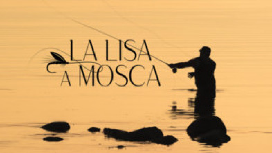 Imagen de La lisa a mosca - 5
