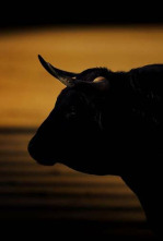 Feria de San Isidro (T2025): Ep.1