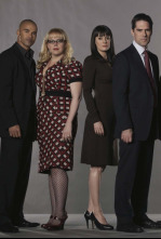 Mentes criminales (T5): Ep.13 Un asunto arriesgado