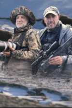 Imagen de Expedición excopesa a Groenlandia Cap1. el muskox - 4