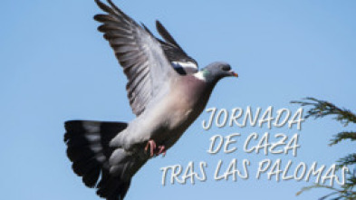 Imagen de Jornada de caza tras las palomas - 5
