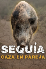 Imagen de Sequía, aguardos en épocas de poca agua - 4