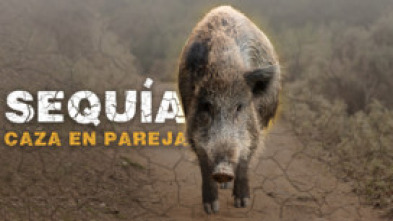 Imagen de Sequía, aguardos en épocas de poca agua - 5