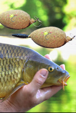 Imagen de Feeder urbano 2,0 - 4