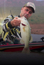 Imagen de Basses jienenses - 4