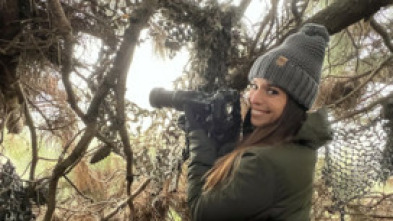Imagen de ¡Qué animal! (T7): Camuflados - 5