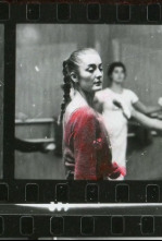 Imagen de Homenatges - 4