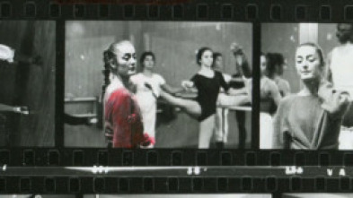 Imagen de Homenatges - 5