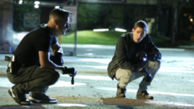 Imagen de C.S.I. (T15): Ep.13 El bien común - 5