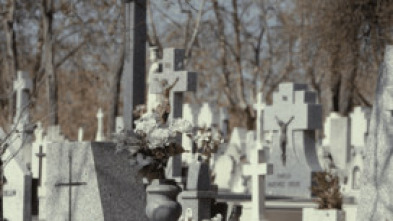 Imagen de El escarabajo verde: Memento Mori - 5