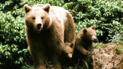 Imagen de Pociones de amor salvaje - 5