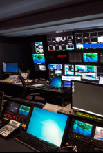 Avance informativo