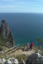Imagen de 80 cm (T2): Cantabria - 4