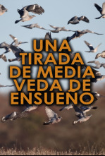 Imagen de Una tirada de media veda de ensueño - 4