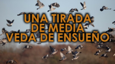 Imagen de Una tirada de media veda de ensueño - 5