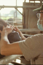 Imagen de La italia que gusta: Territorios - 4