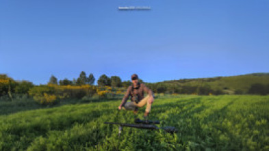 Imagen de Corzos en el horizonte - 5