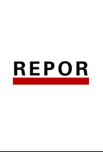 Imagen de Repor (T2025): Flix. La vida tras el cloro - 4