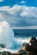 Imagen de El Salvaje Mar Báltico - 4