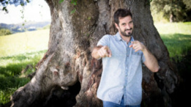 Imagen de Historias a Bocados - 5