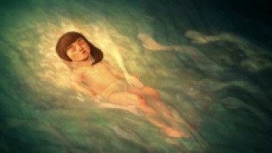 Imagen de Paquidermo - 5