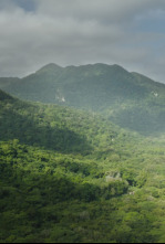 Imagen de Tayrona - 4