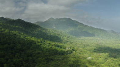 Imagen de Tayrona - 5