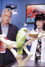 Imagen de Navy:... (T14): Ep.7 El hogar de los valientes - 4