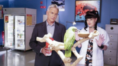 Imagen de Navy:... (T14): Ep.7 El hogar de los valientes - 5