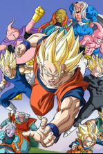 Imagen de Dragon Ball Z Kai (T2): Ep.5 ¡Llega el Torneo de Artes Marciales! Goten muestra su explosivo poder en el entrenamiento - 4