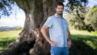 Imagen de Historias a Bocados (T18/19) - 4