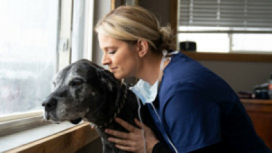 Imagen de Veterinarios de Nebraska (T3) - 7