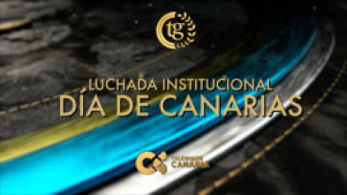 Imagen de Luchada institucional del Día de Canarias - 5