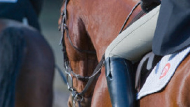 Imagen de OXER Hípica (2025): CSI Madrid. Longines Global Champions Tour GP - 5